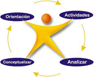 Proceso educativo